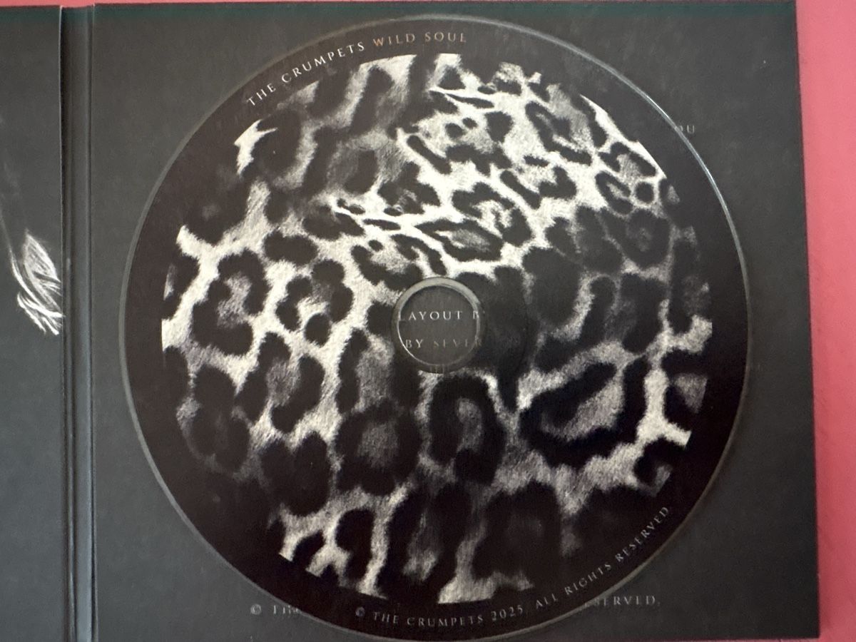 CDs: The Crumpets - Wild Soul – D'occasion à Lützelflüh-Goldbach par Deiv4 3