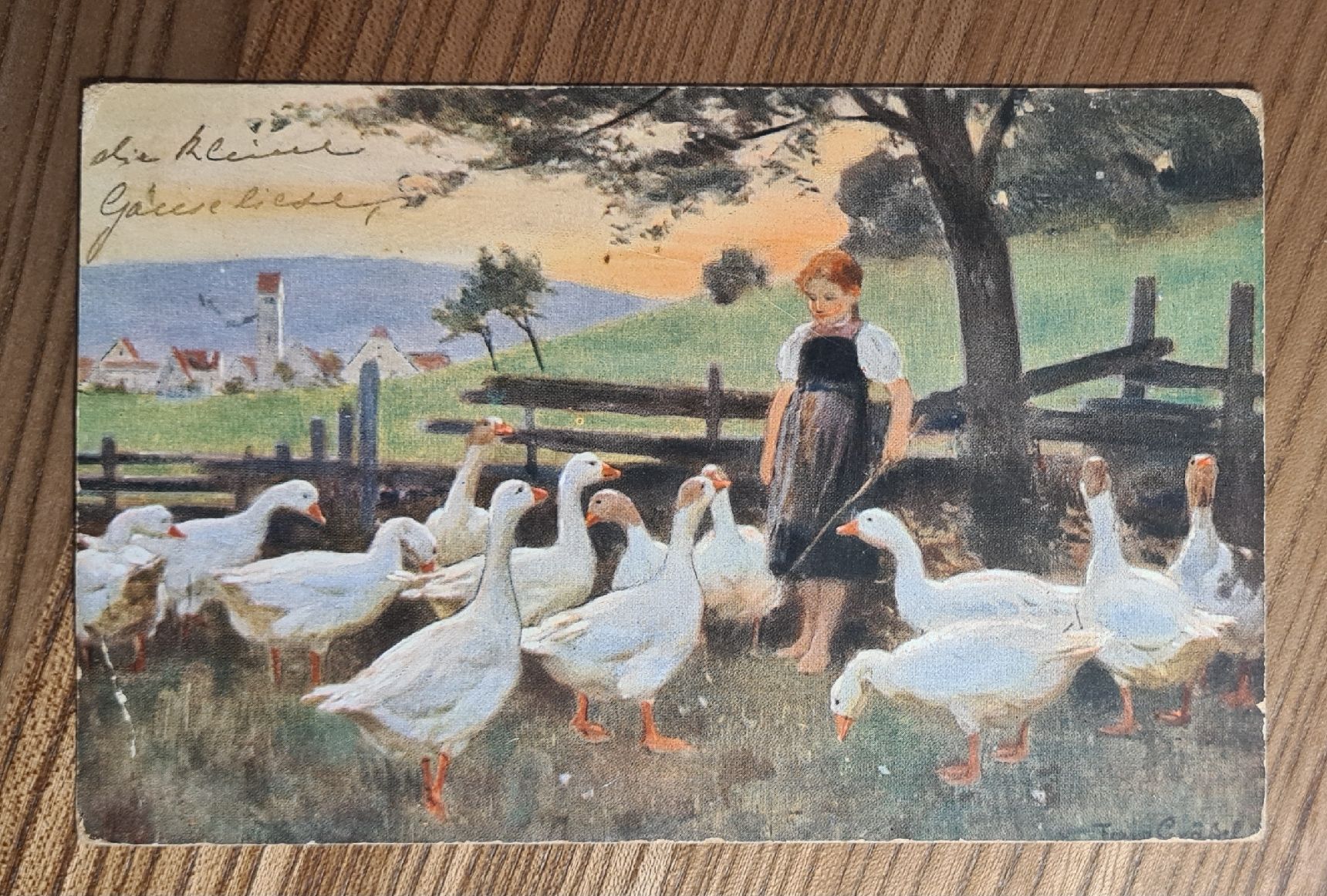 Cartoline postali: Mädchen mit Schwänen 1907 – Usato da Ebikon venduto da Donar50