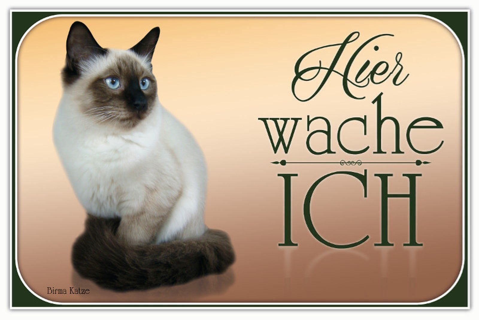 Schilder: Blechschild-HIER WACHE ICH-BIRMA KATZE – Neu und originalverpackt aus Rupperswil von big-one-sale