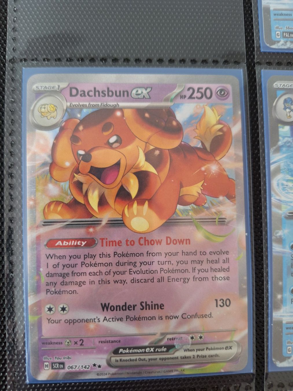 Pokémon Carte collezionabili: Dachsbun ex – Usato da Altstätten SG venduto da GGsGameshop
