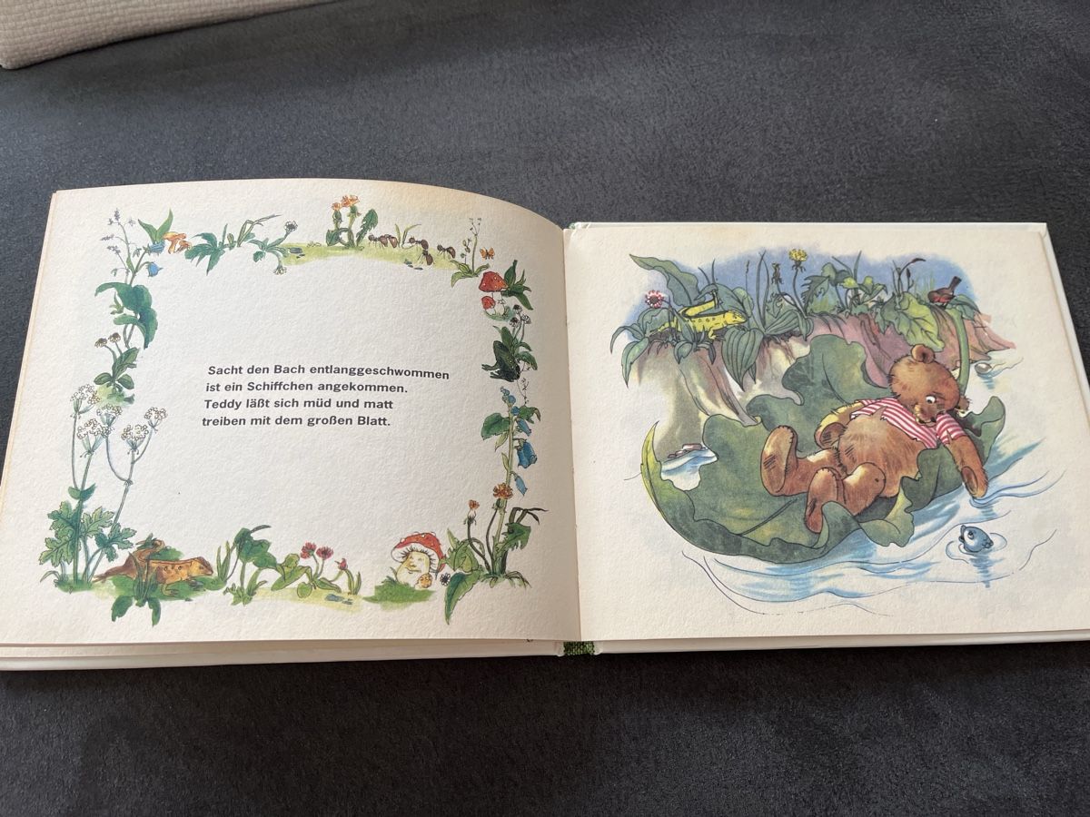 Libri: Teddy's Ausflug in die Welt Anny Hoffmann – Usato da Niederhasli venduto da Suneblueme 3