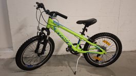 Kinder Velo Stoke MTX 2.1 Grösse 20 Zoll grün