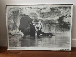 La Dolce Vita 1960 Iconic Movie Scene - Framed Print