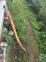 Katzentreppe zu verkaufen