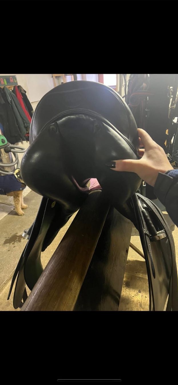 Selle & Accessori: Dressursattel – Usato da Möhlin venduto da sar_xn6j 1