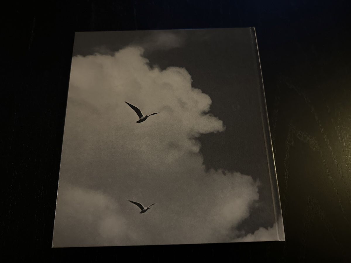 Libri: WOLKEN – Usato da Erstfeld venduto da Mario_boe0 4