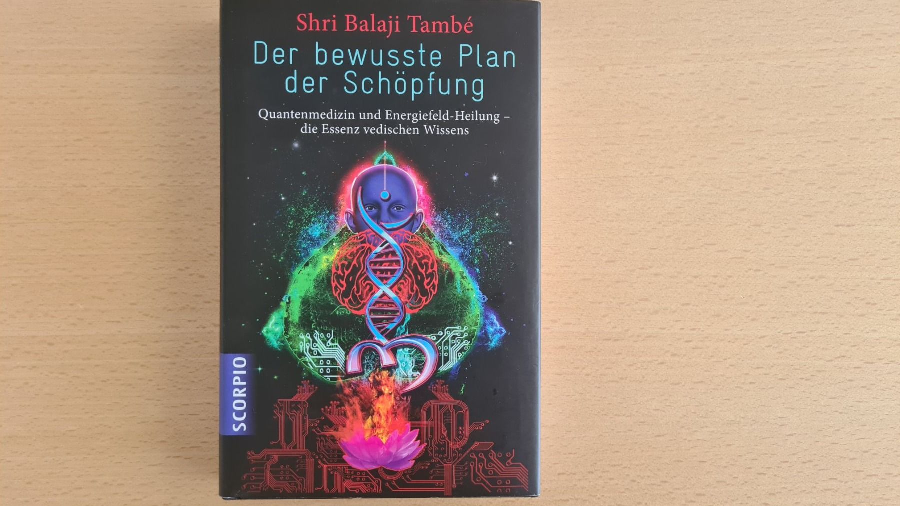 Libri: Der bewusste Plan der Schöpfung – Usato da Steinach venduto da lesefieber