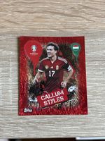 Carte euro 2024, Hongrie numéro 3