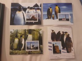 4 Cartes Postales Rares - Manchots Empereurs et Timbres!🐧📮