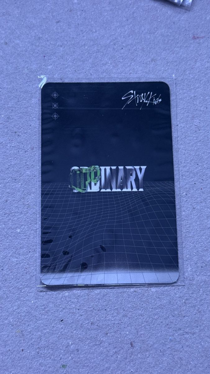 Carte collezionabili: Stray Kids ODDINARY Changbin Photocard – Nuovo (secondo la descrizione) da Meggen venduto da awk_nkn7 1