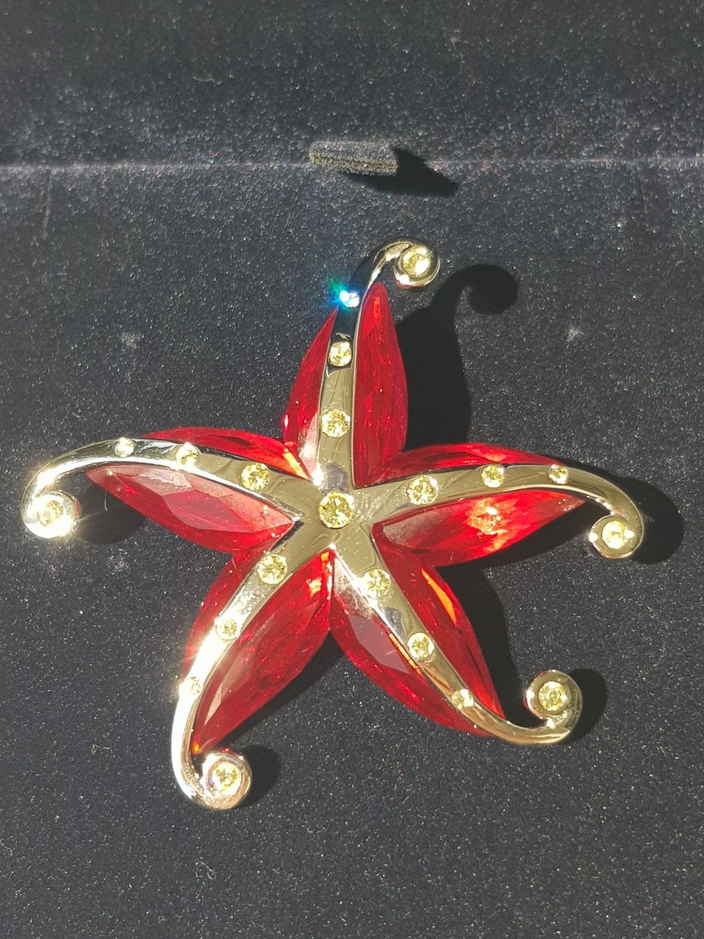 Swarovski Spille & Fermagli: Swarovski Brosche - Rare(Original) – Nuovo e nell'imballaggio originale da Lengnau BE venduto da Mango888 5