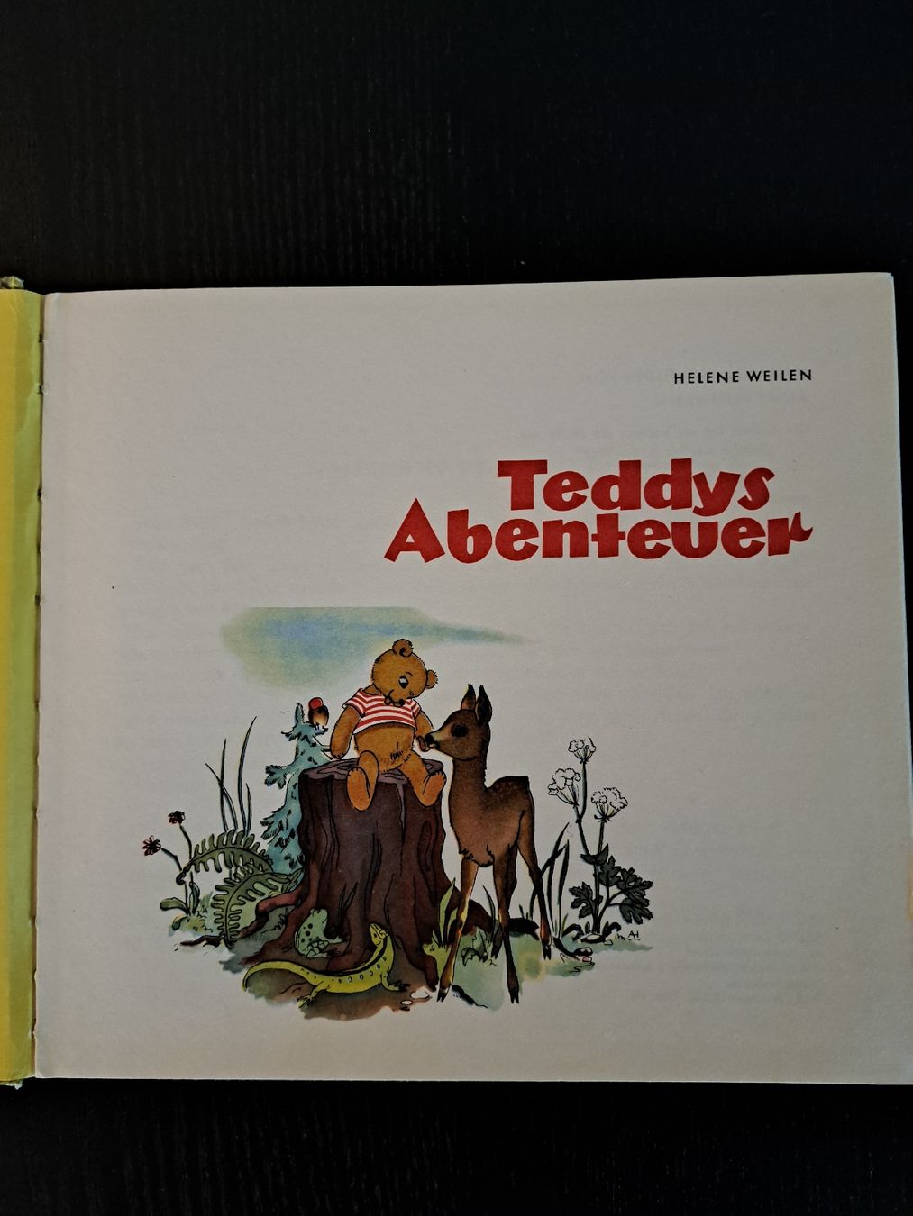 Libri: Bilderbuch • Teddys Abenteuer – Usato da Ottenbach venduto da Rasenmaeeher 2