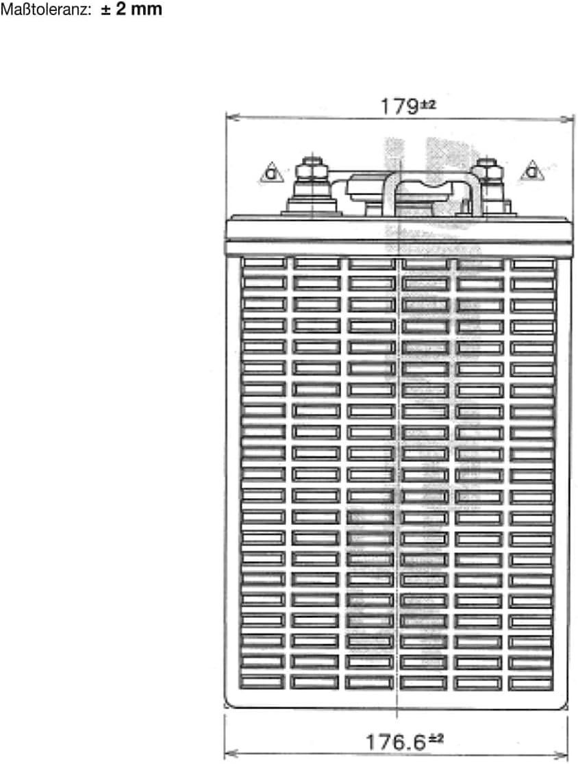 Batterie: BIG E-Drive 6V 260Ah Traktionsbatterie – Nuovo e nell'imballaggio originale da Bottighofen venduto da zaap 5