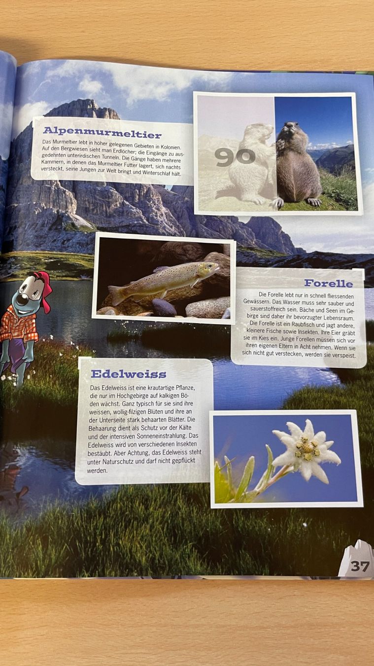 Libri: Mountain Mania - Abenteuer Bergwelt – Usato da Glattfelden venduto da markweb 9