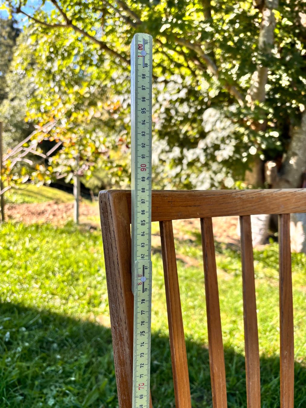 Sedie: Alter Holzstuhl – Usato da Berneck venduto da danilo5561