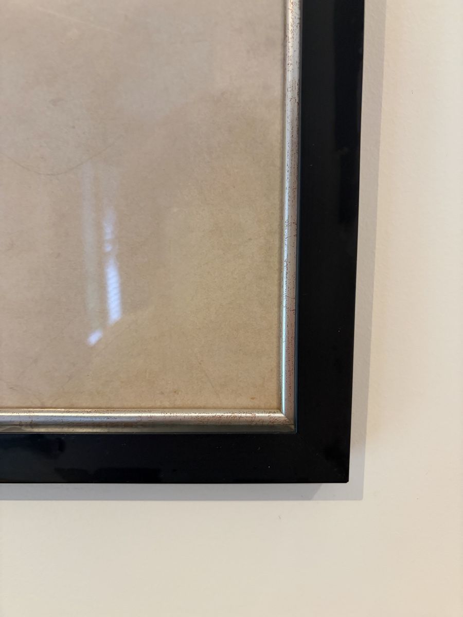 Foto & Immagini: Framed wale poster  – Usato da Le Grand-Saconnex venduto da lup_xbp7 3