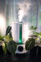 EXKLUSIV!!! WOHLGRÜN-TAU360 - Pflanzen-Luftbefeuchter