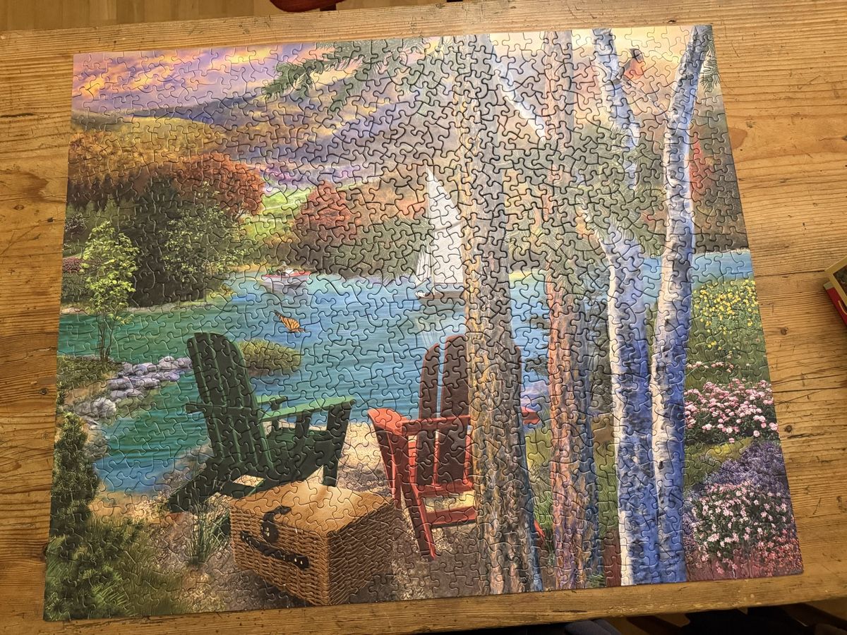 Puzzles: Cozy Lakeside View Jigsaw Puzzle, 1000 Pieces – Gebraucht aus Zürich von jus_sw7l 2