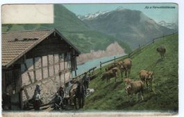ALP a. Vierwaldstättersee, Bauer mit Kühen
