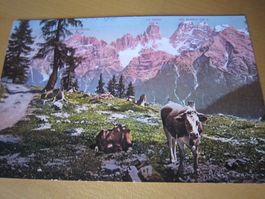 No 11 antike Postkarte Tyrol mit Dolomiten