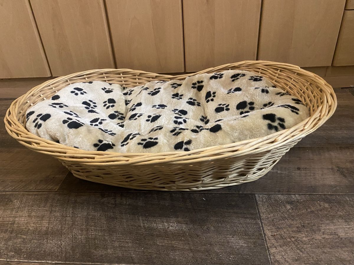 Cucce & Letti: Hunde/Katzen Korb 75x55x15cm – Usato da Seewen SZ venduto da shaky01 2