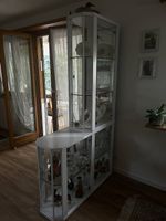 Vitrine beleuchtet