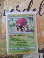 Orbeetle