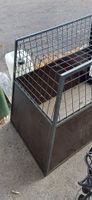 Hundetransportpox