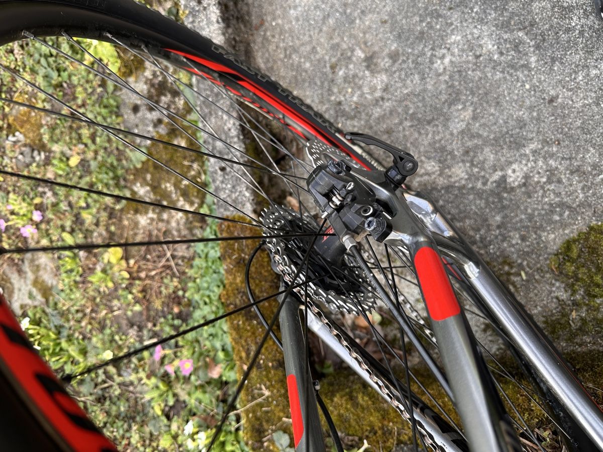 Specialized Biciclette: Velo MBT Specialized Top Zustand – Usato da Luzern venduto da cha_kfm2 2