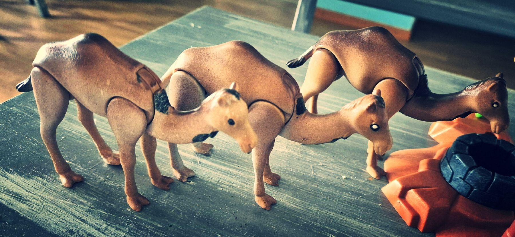 Playmobil Spielzeuge: Kamel Oase mit Palmen – Gebraucht aus Fahrweid von Fischwasser6 4