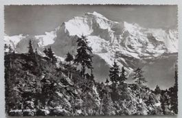 Jungfrau (4167 m)