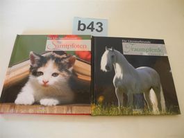 2 Bücher "Samtpfoten u.Traumpferde", b43