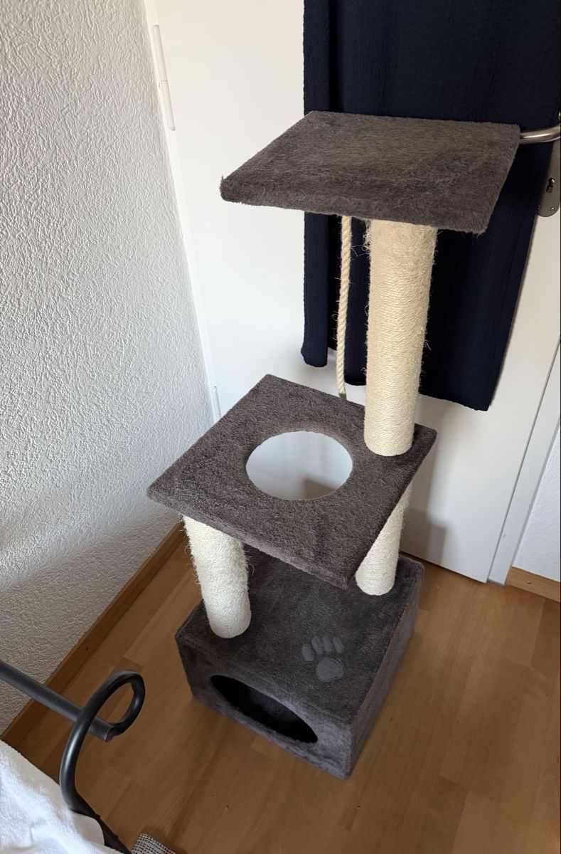 Tiragraffi: Kratzbaum Katzen – Usato da Bern venduto da Balucodor