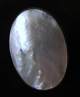 Perlmutt Silber 925 Fingerring Gr. 55