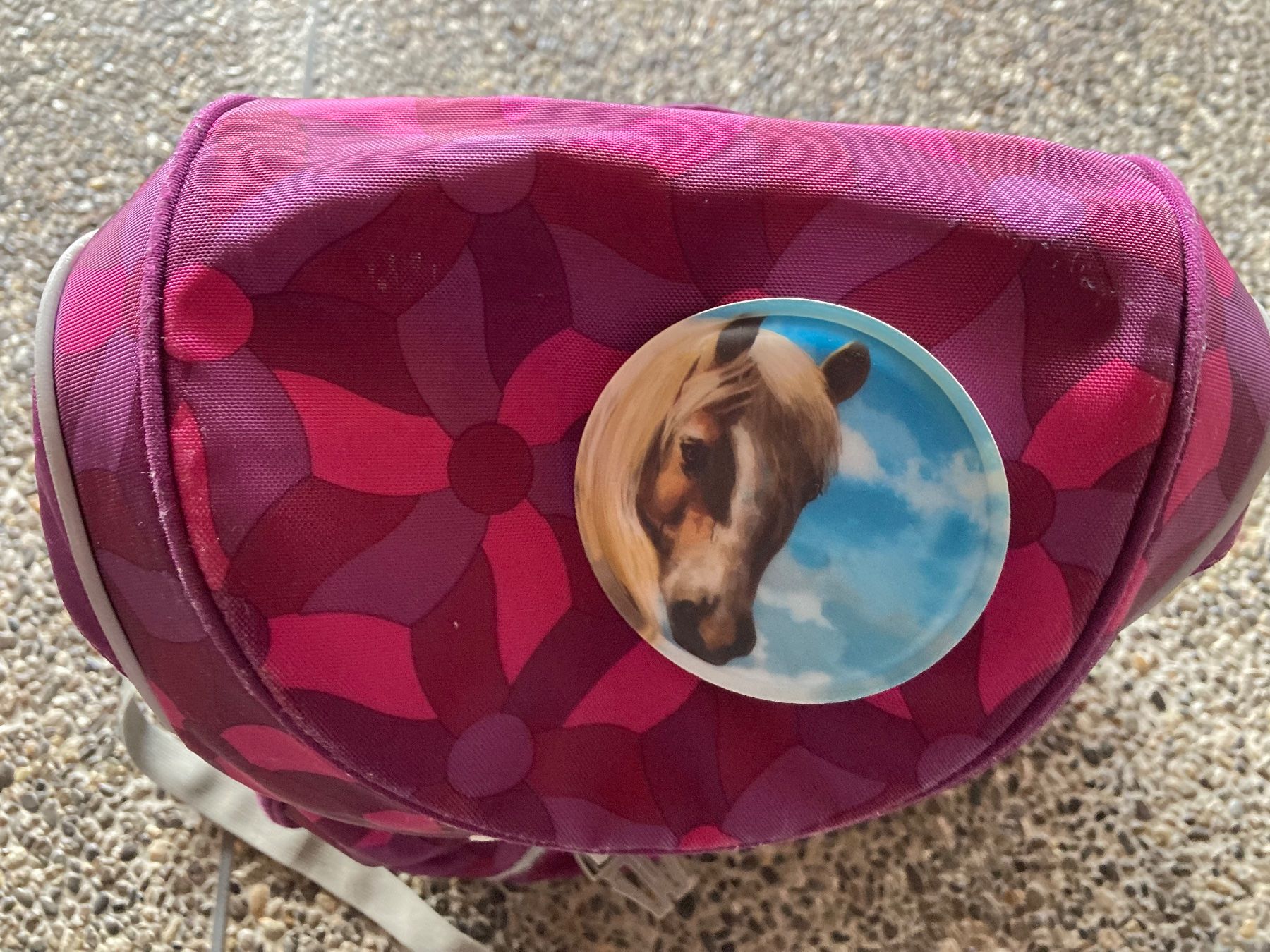 Ergobag Borse & Zaini: Rucksack Ergobag Kindergarten Pferde – Usato da Aetingen venduto da Nadinsky 2