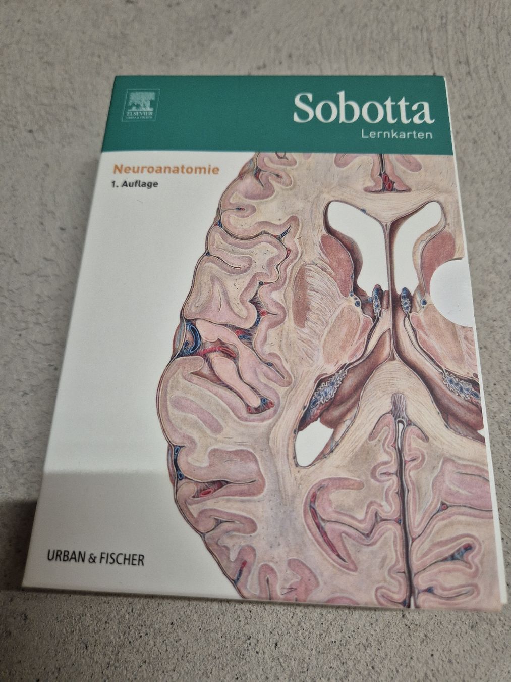 Sonstiger Schulbedarf: Sobotta Lernkarten Neuroanatomie – Gebraucht aus Baden von kae_n69w