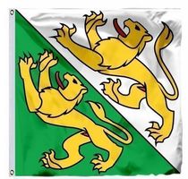 Schweizer Flagge des Kantons Thurgau, 90x90cm