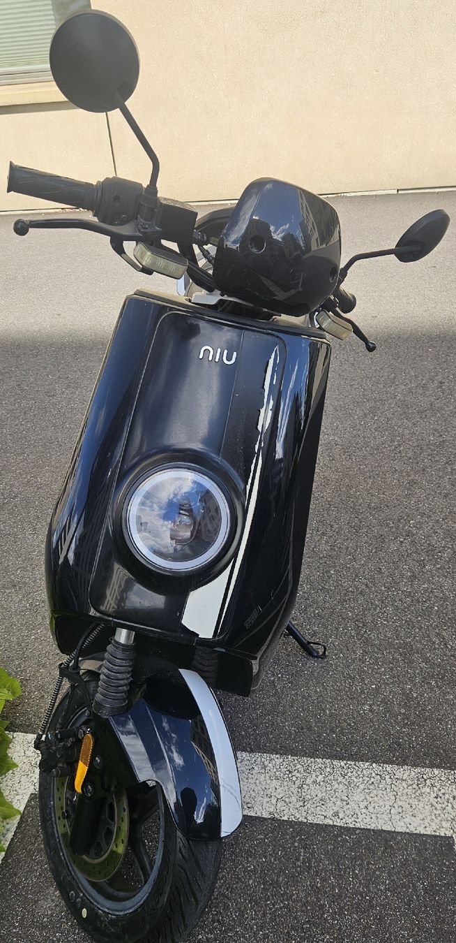 Scooter: NIU NGT Electric Scooter – Usato da Nyon venduto da son_7df9 1