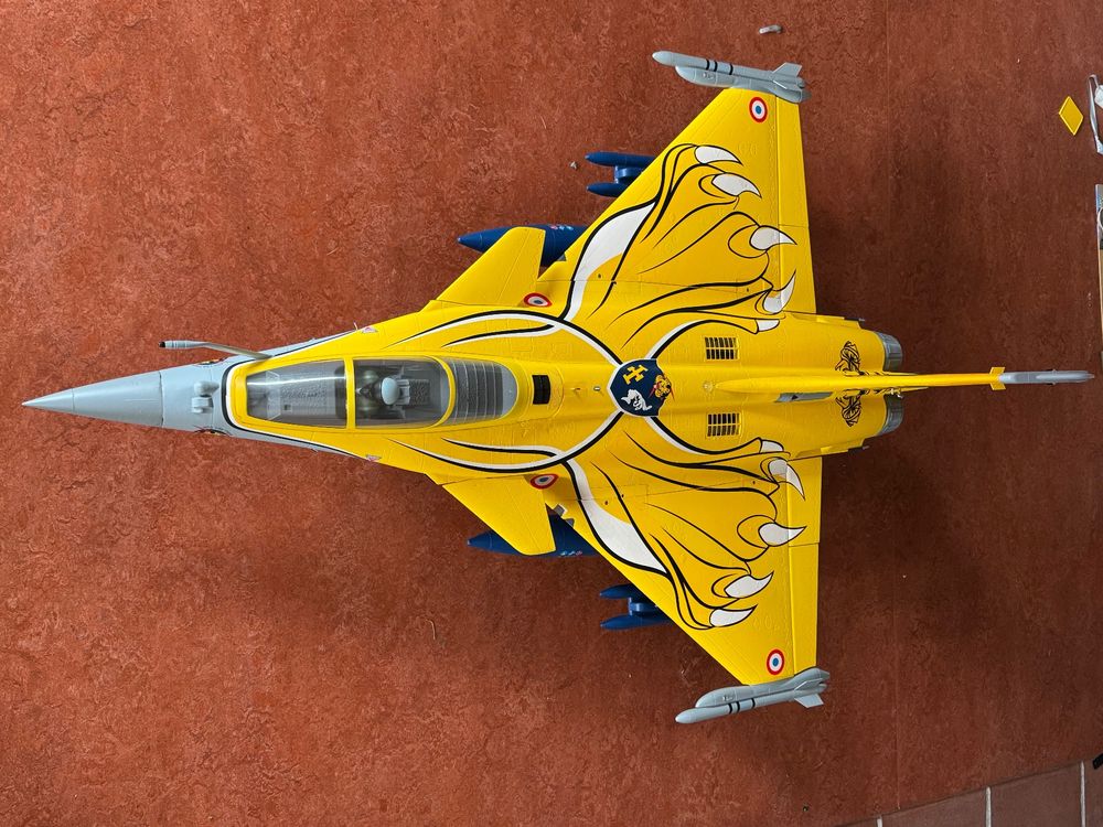 RC Flugzeug FMS Dassault Rafale 80mm EDF inkl. Reflex Gyro (Gebraucht ...