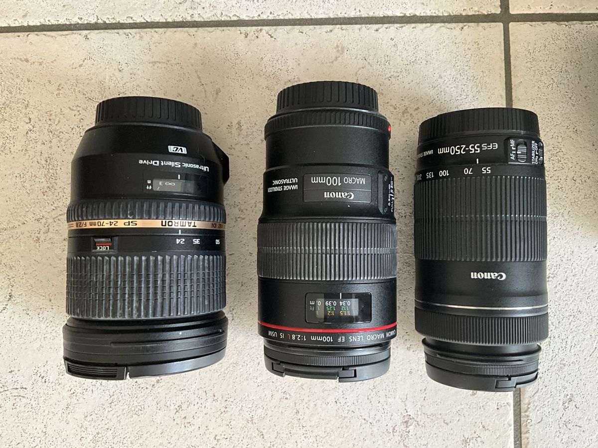 Canon Fotocamera: Grosses Canon EOS 70D Profi-Set | 4 Top-Objektive – Usato da Fischbach-Göslikon venduto da maramagamaki 2