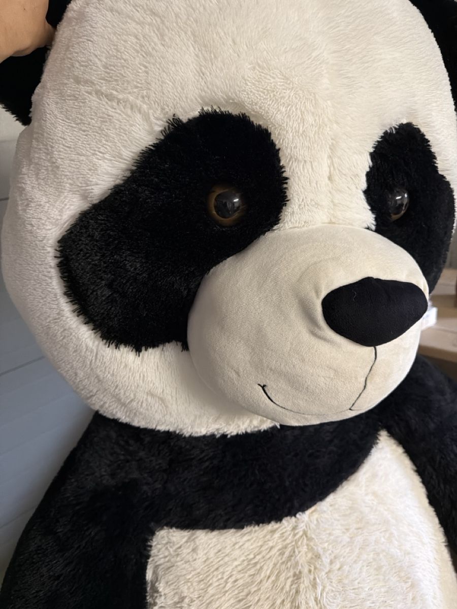 Migros Giocattoli: Riesen Panda Plüschtier,Kuscheltier, 190cm – Usato da Rotkreuz venduto da perlengott 3