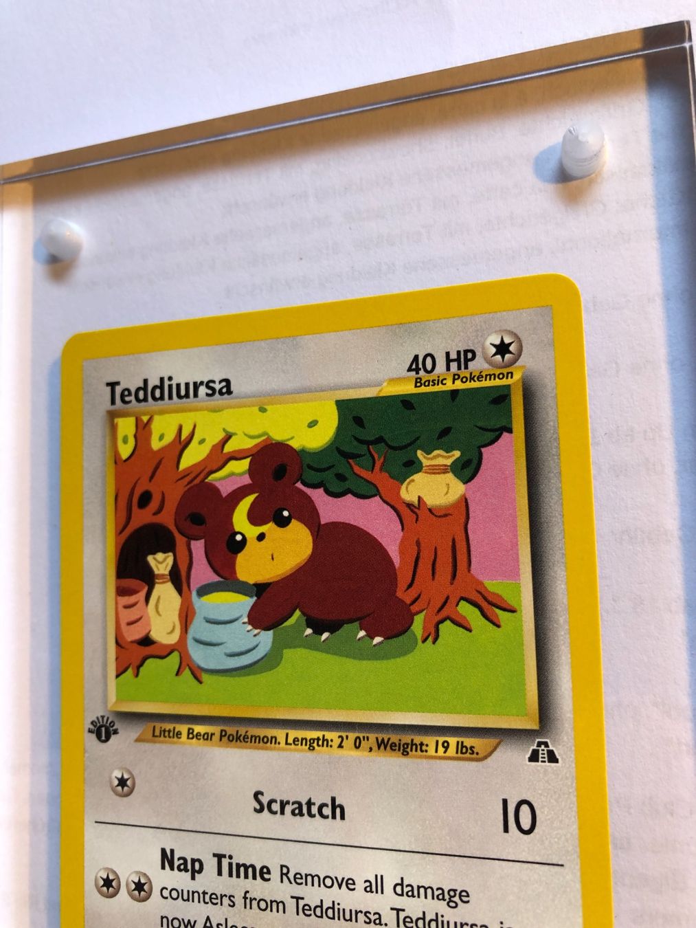 Carte collezionabili: Teddiursa 1st Neo Discovery - MINT - ab 1.- – Usato da Giubiasco venduto da dan_pr8b 3