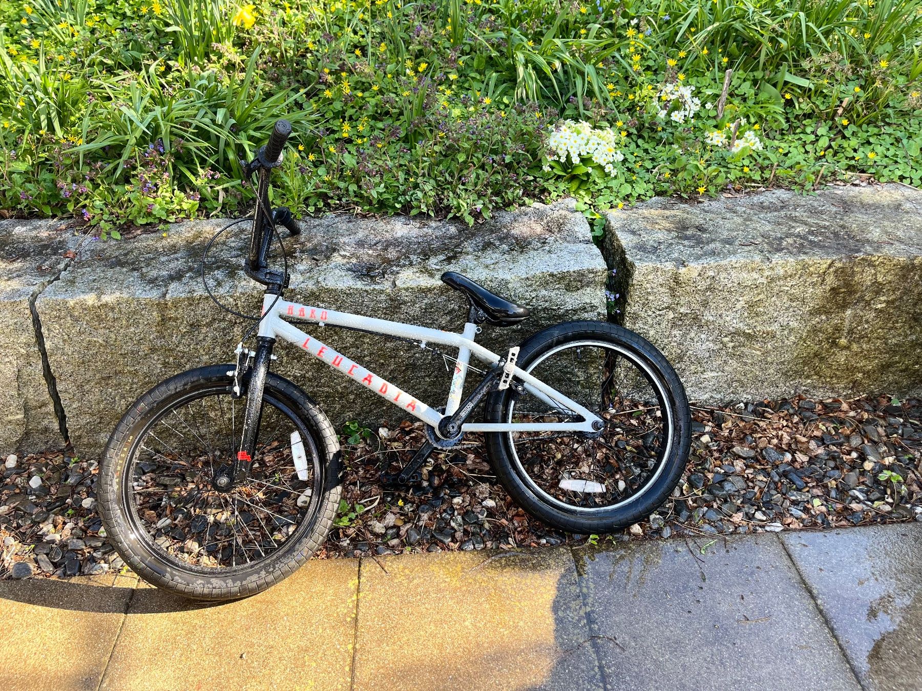 Velos: Haro BMX Leucadia 20 Zoll – Neu (gemäss Beschreibung) aus Birmensdorf ZH von gki_ync5 1
