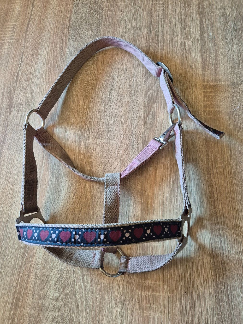 Brides, licols: Halfter Pony – D'occasion à Meggen par Orrinka20