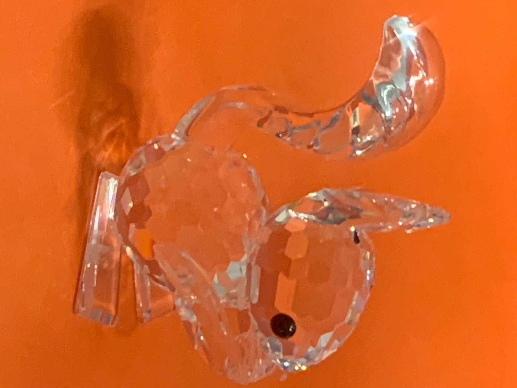 Swarovski Figuren: Swarovski Eichhörnchen – Neu (gemäss Beschreibung) aus Oberglatt ZH von Multimix