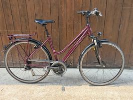 Kalkhoff Velo Voyager Allround  ink Thule Kupplung