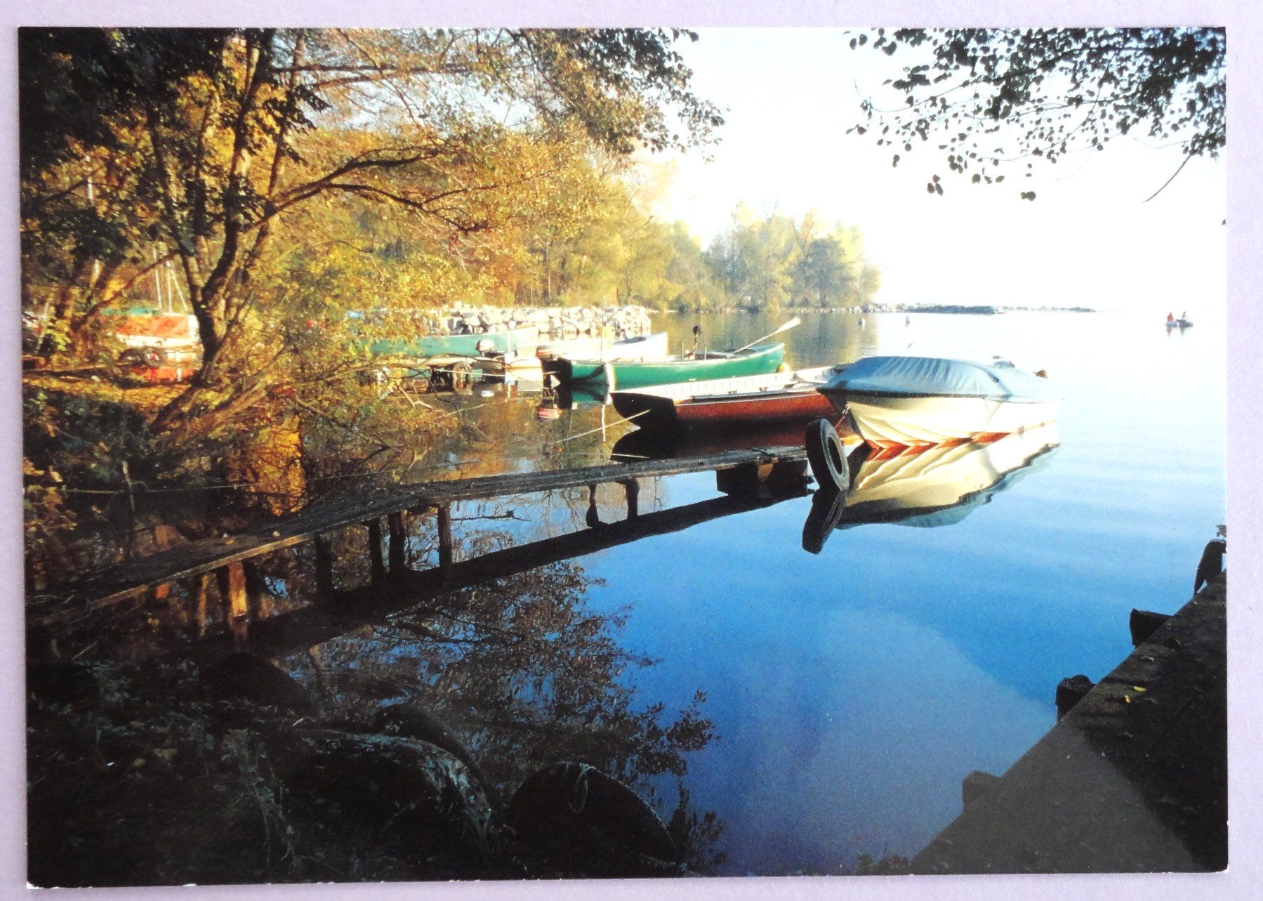 Cartes postales: Allaman - Bord du Lac – D'occasion à Fétigny par Billy2miny
