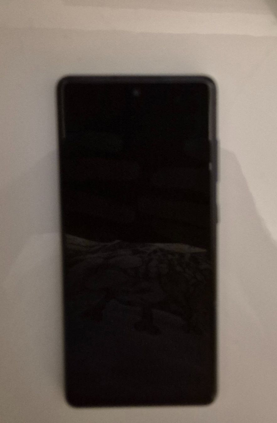 Samsung Telefoni cellulari / Smartphones: Samsung S20 FE 5G Smartphone Topzustand – Usato da Bassersdorf venduto da Scotch888 1