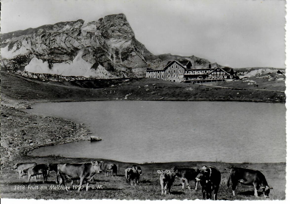 Cartoline postali: Frutt am Melchsee 1947 – Usato da Hochdorf venduto da Ziegel-16
