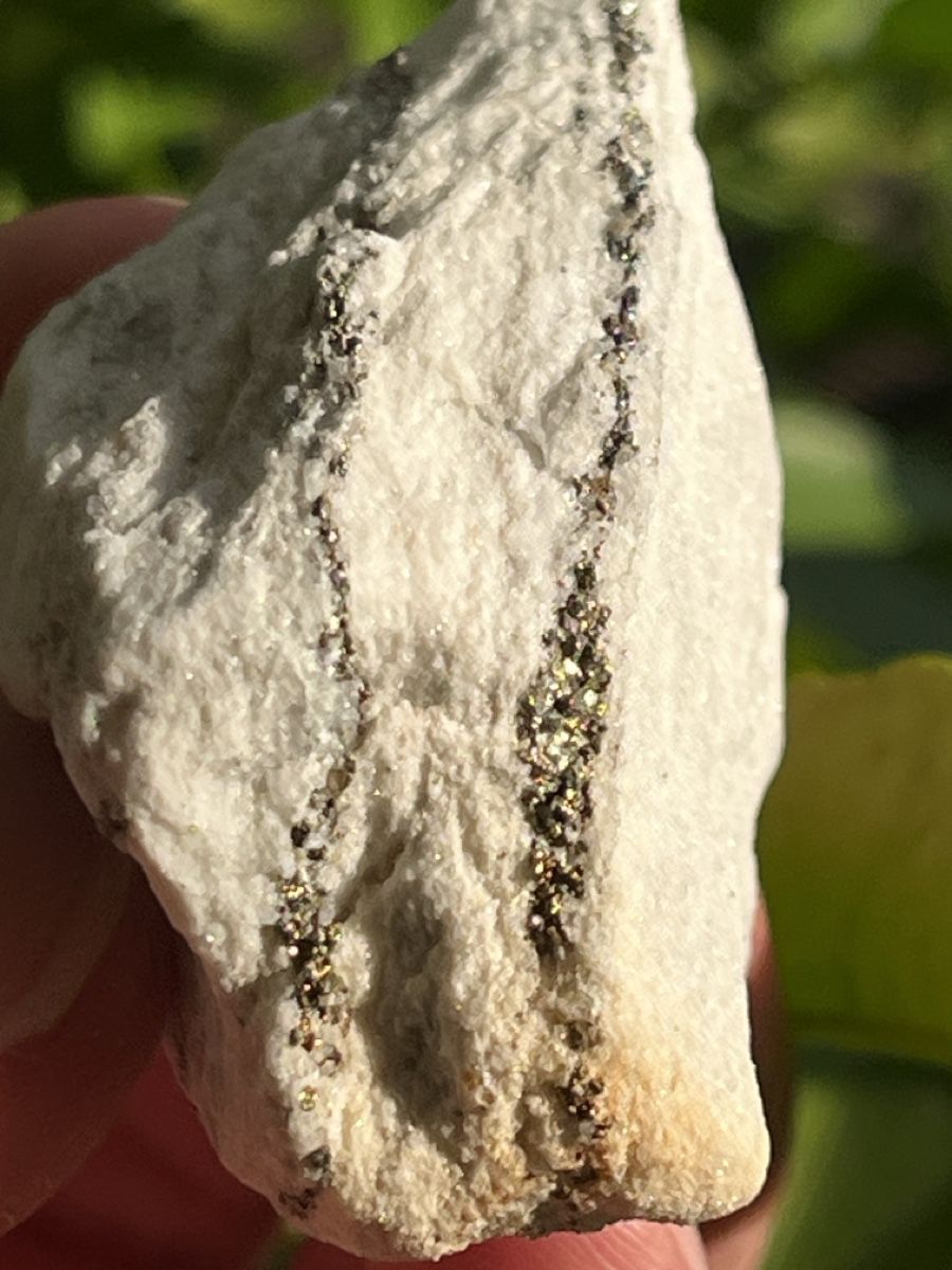 Minerali & Pietre curative: Top! Pyrit in Dolomite aus dem Binntal, VS – Usato da Uster venduto da Arrayo 6
